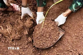 Các hài cốt được tìm thấy ở độ sâu 0,8-1m; được bọc trong tăng, kèm theo các di vật. (Nguồn: TTXVN phát)