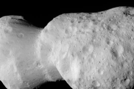 Tiểu hành tinh Donaldjohanson. (Nguồn: NASA)