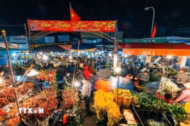 Chợ hoa đêm Quảng Bá trong những ngày sát Tết. Ảnh: Phạm Tuấn Anh - TTXVN