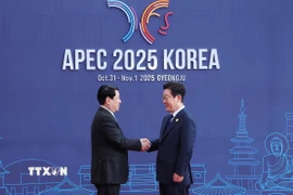 Sáng 31/10, tại thành phố Gyeongju (Hàn Quốc), Chủ tịch nước Lương Cường dự Hội nghị Cấp cao APEC lần thứ 32. (Ảnh: Lâm Khánh/TTXVN)