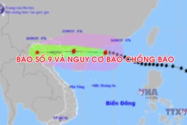 Thông tin mới về bão số 9 và nguy cơ bão chồng bão