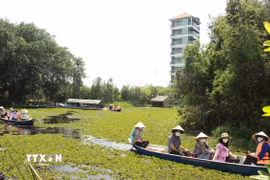 Du lịch đường sông là lợi thế của miền Tây Nam Bộ. (Ảnh: Đức Hạnh/TTXVN)