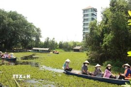 Du lịch đường sông là lợi thế của miền Tây Nam Bộ. (Ảnh: Đức Hạnh/TTXVN)