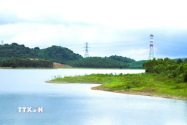 (Ảnh minh họa: Xuân Tiến/TTXVN)