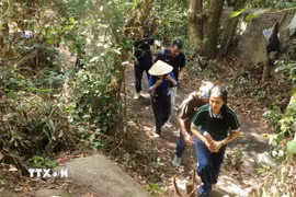 Giữa những ngày tháng Bảy tri ân, Đoàn Thanh niên cơ sở và Chi hội Cựu chiến binh Trung tâm Thông tin Thông tấn xã Việt Nam (TTXVN) khu vực miền Trung - Tây Nguyên, cùng sự đồng hành của Công ty Luật Trách nhiệm hữu hạn Huỳnh Thiên Phúc và Hội Phụ nữ Bộ Chỉ huy Quân sự thành phố Đà Nẵng, đã tổ chức Hành trình tri ân - Tiếp lửa truyền thống với chủ đề “Theo bước chân những người đi tìm đồng đội”. Vượt hơn một giờ băng rừng, leo núi đến Hang Đá Sập (xã Hà Nha, thành phố Đà Nẵng), đoàn đã dâng hoa, dâng hương tưởng nhớ anh linh các anh hùng liệt sỹ; thăm hỏi, động viên, trao tặng quà đến lực lượng đang trực tiếp thực hiện nhiệm vụ tìm kiếm, quy tập hài cốt liệt sỹ. (Ảnh: Khoa Chương/TTXVN)