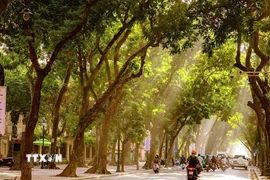 Thủ đô Hà Nội có ít mây, ngày nắng, đêm không mưa. Gió Đông Bắc đến Bắc cấp 2-3. Sáng sớm và đêm trời rét. Nhiệt độ thấp nhất 17-19 độ C; cao nhất 26-28 độ C. (Ảnh: Khánh Hòa/TTXVN)