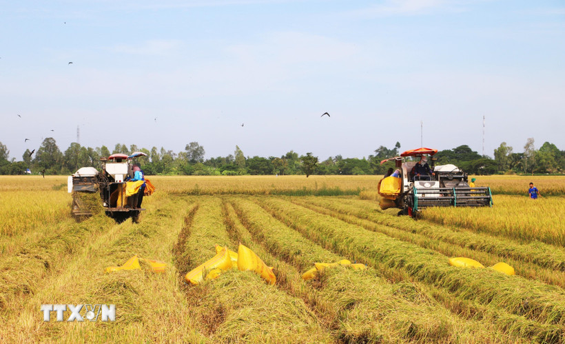 Đại hội XIV của Đảng: Nền tảng mới cho động lực tăng trưởng xanh Các chính sách đột phá cùng sự khẩn trương trong triển khai mang lại cho người dân nhiều kỳ vọng về chất lượng cuộc sống mới. (Ảnh: TTXVN/Vietnam+)