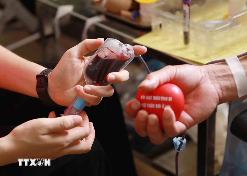 Những đơn vị máu được hiến tại các ngày hội. (Ảnh: Quý Trung/TTXVN) 