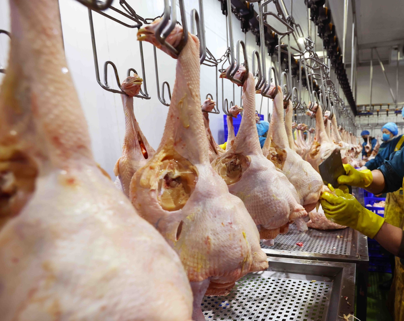 Ảnh minh họa. (Ảnh: TTXVN/Vietnam+)