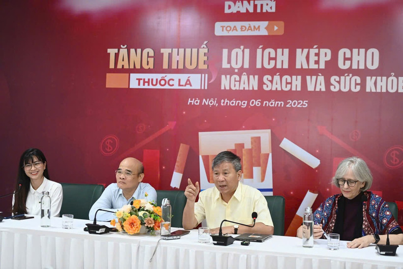 Các chuyên gia chia sẻ tại buổi Tọa đàm. (Ảnh: PV/Vietnam+)