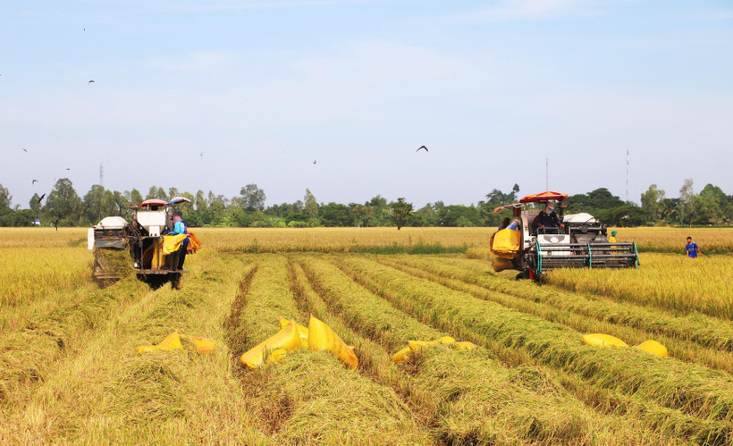Các chính sách đột phá cùng sự khẩn trương trong triển khai mang lại cho người dân nhiều kỳ vọng về chất lượng cuộc sống mới. (Ảnh: TTXVN/Vietnam+)