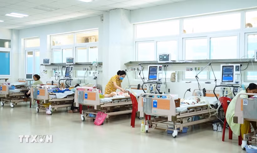 (Ảnh minh họa: TTXVN/Vietnam+)