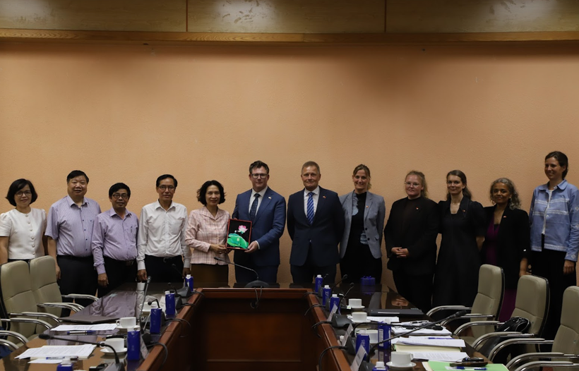 Quan hệ hợp tác này ưu tiên tăng cường y tế tuyến cơ sở và cải thiện công tác quản lý các bệnh không lây nhiễm. (Ảnh: PV/Vietnam+)