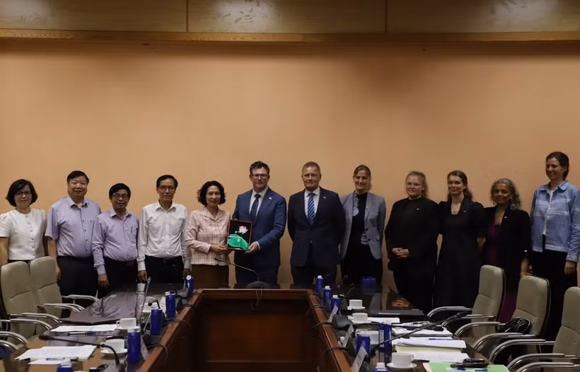 Quan hệ hợp tác này ưu tiên tăng cường y tế tuyến cơ sở và cải thiện công tác quản lý các bệnh không lây nhiễm. (Ảnh: PV/Vietnam+)
