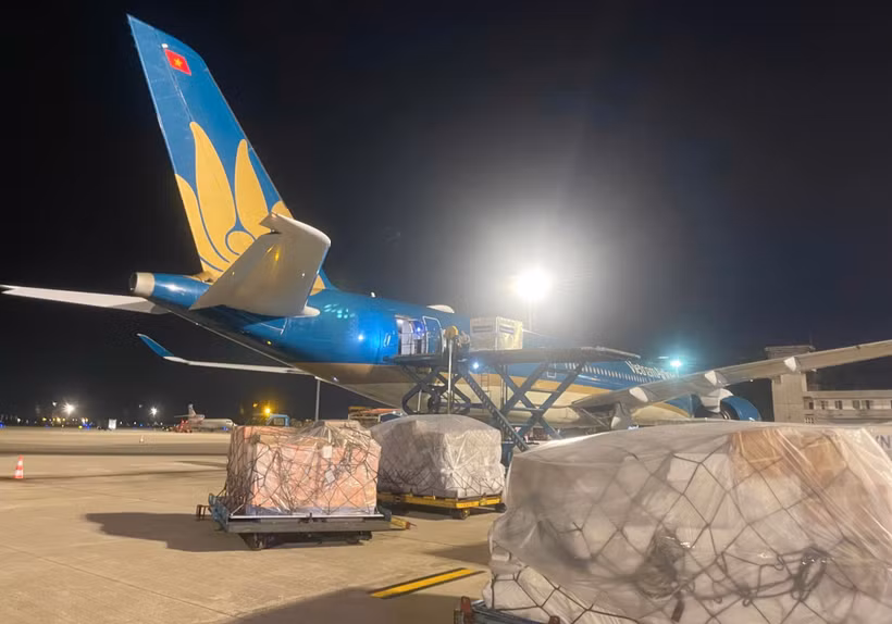 Vietnam Airlines đã thực hiện chuyến bay thứ hai vận chuyển hàng hóa hỗ trợ của Việt Nam tới Venezuela, nhằm giúp đỡ nước bạn vượt qua thảm họa động đất. (Ảnh: PV/Vietnam+)