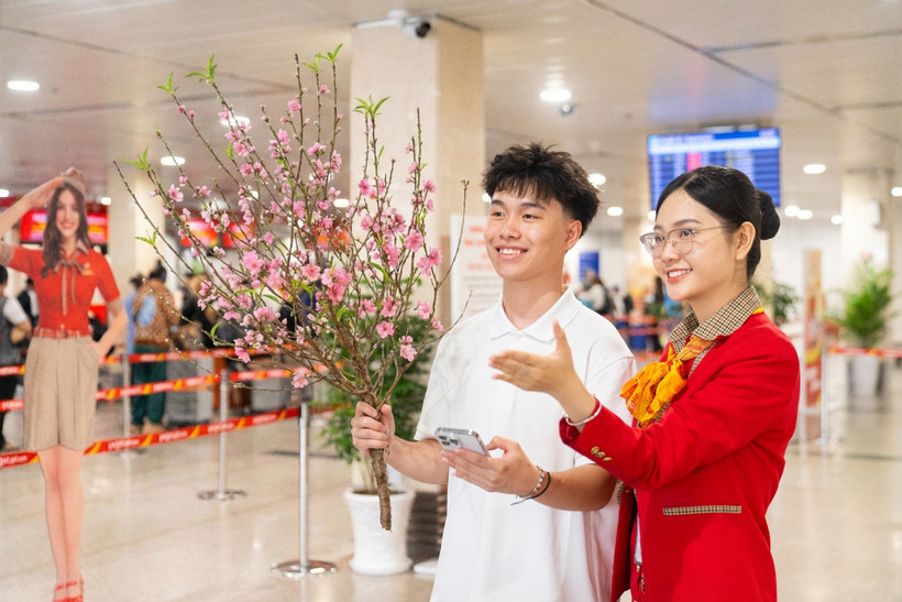 Vietjet Air nhận vận chuyển mai, đào dịp Tết Nguyên đán 2026. (Ảnh: PV/Vietnam+)