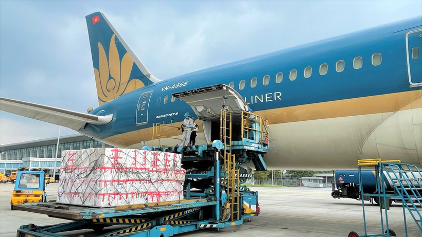 Vietnam Airlines sẽ tập trung xây dựng các trung tâm logistics tại các sân bay trong nước như Long Thành, Gia Bình nhằm phục vụ mở rộng lĩnh vực hàng hóa. (Ảnh: PV/Vietnam+)