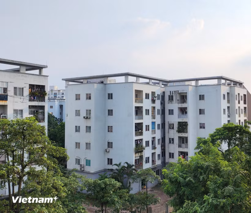 Hà Nội cần rà soát, xác lập “bản đồ” nhu cầu thực tế về nhà ở cho thuê 