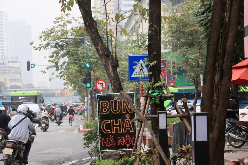 Một đèn tín hiệu giao thông bị cây xanh che khuất tầm nhìn. (Ảnh: PV/Vietnam+)