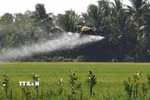 Nông nghiệp hiện đại được xác định là một trong những hướng hợp tác triển vọng trong thời gian tới. (Ảnh: Duy Khương/TTXVN)