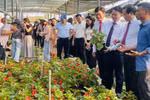 Các đại biểu đi thăm, khảo sát làng hoa cây cảnh Tích Giang, xã Phúc Thọ. (Ảnh: Tuyết Mai/TTXVN)
