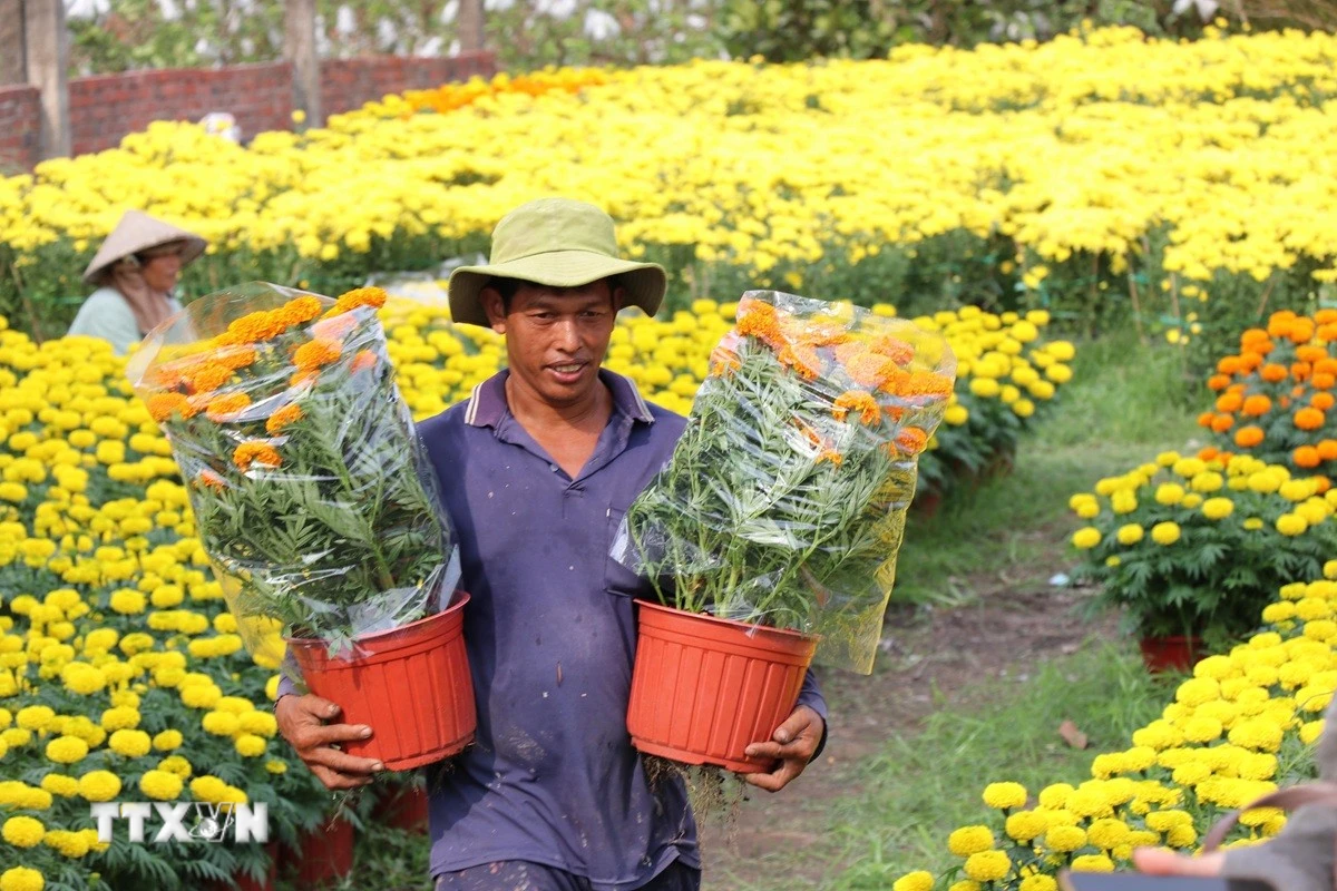 Từng bước hiện thực hóa khát vọng Việt Nam hùng cường trong thời đại mới