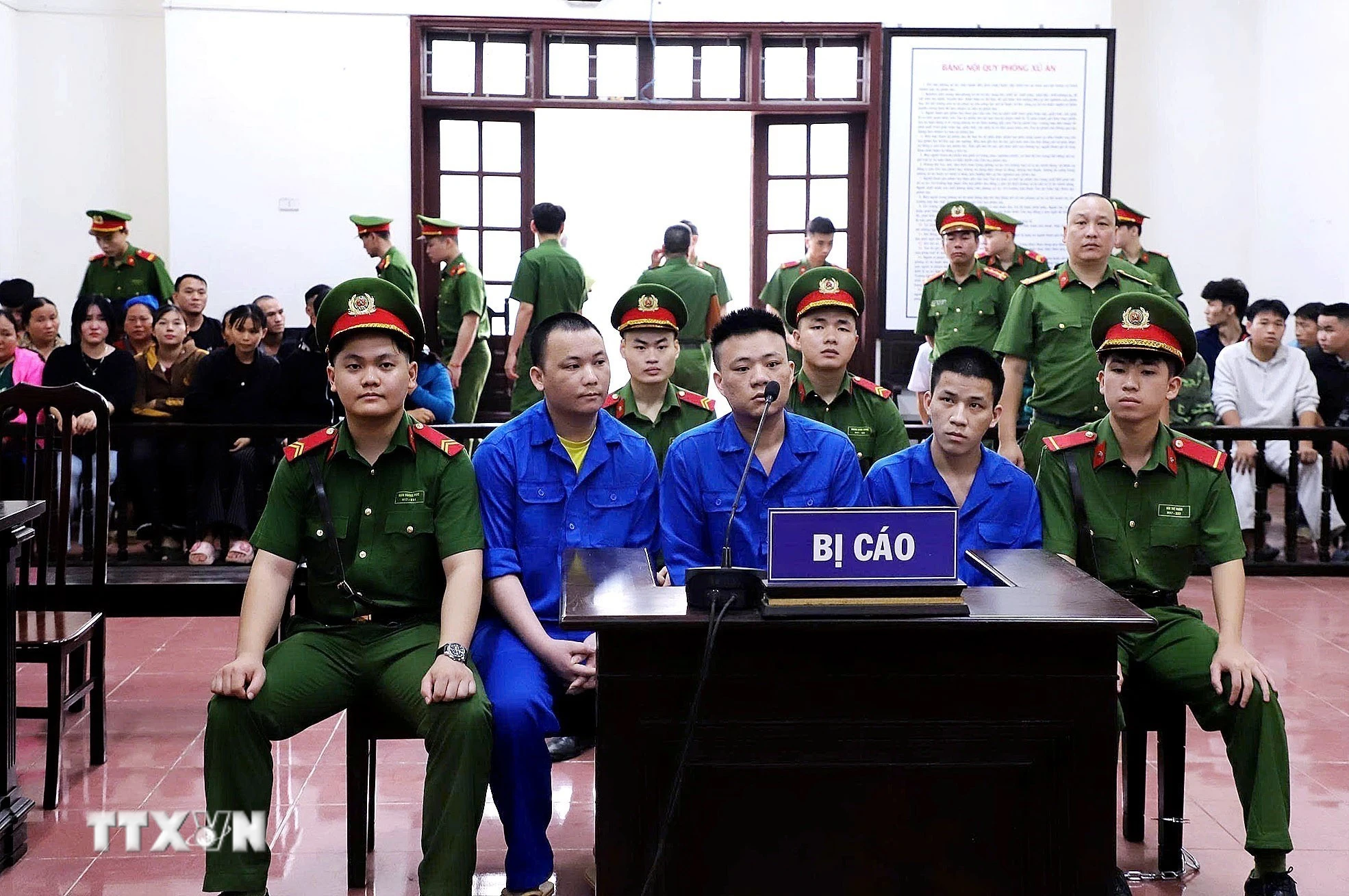 Vận chuyển hơn 74kg ma túy, ba bị cáo lĩnh án tử hình