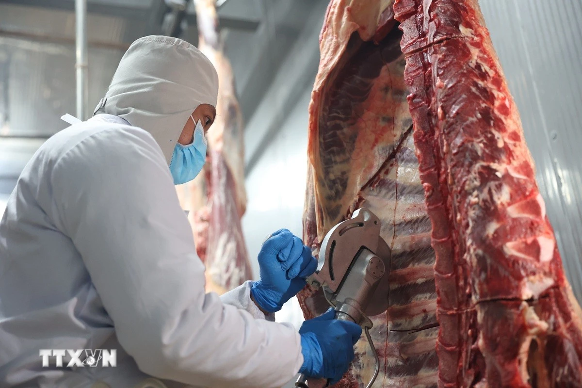 Thủ tướng chỉ đạo chấn chỉnh công tác kiểm soát giết mổ gia súc