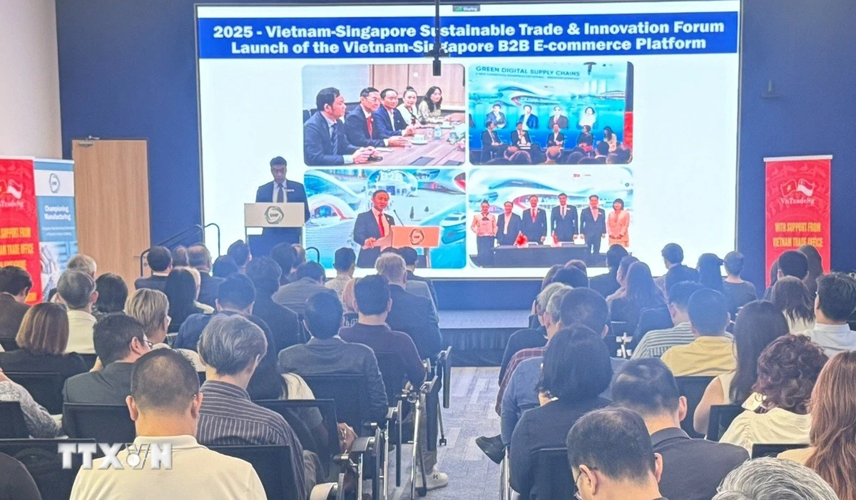 Việt Nam và Singapore Thúc Đẩy Hợp Tác Kinh Tế Xanh và Thương Mại Bền Vững