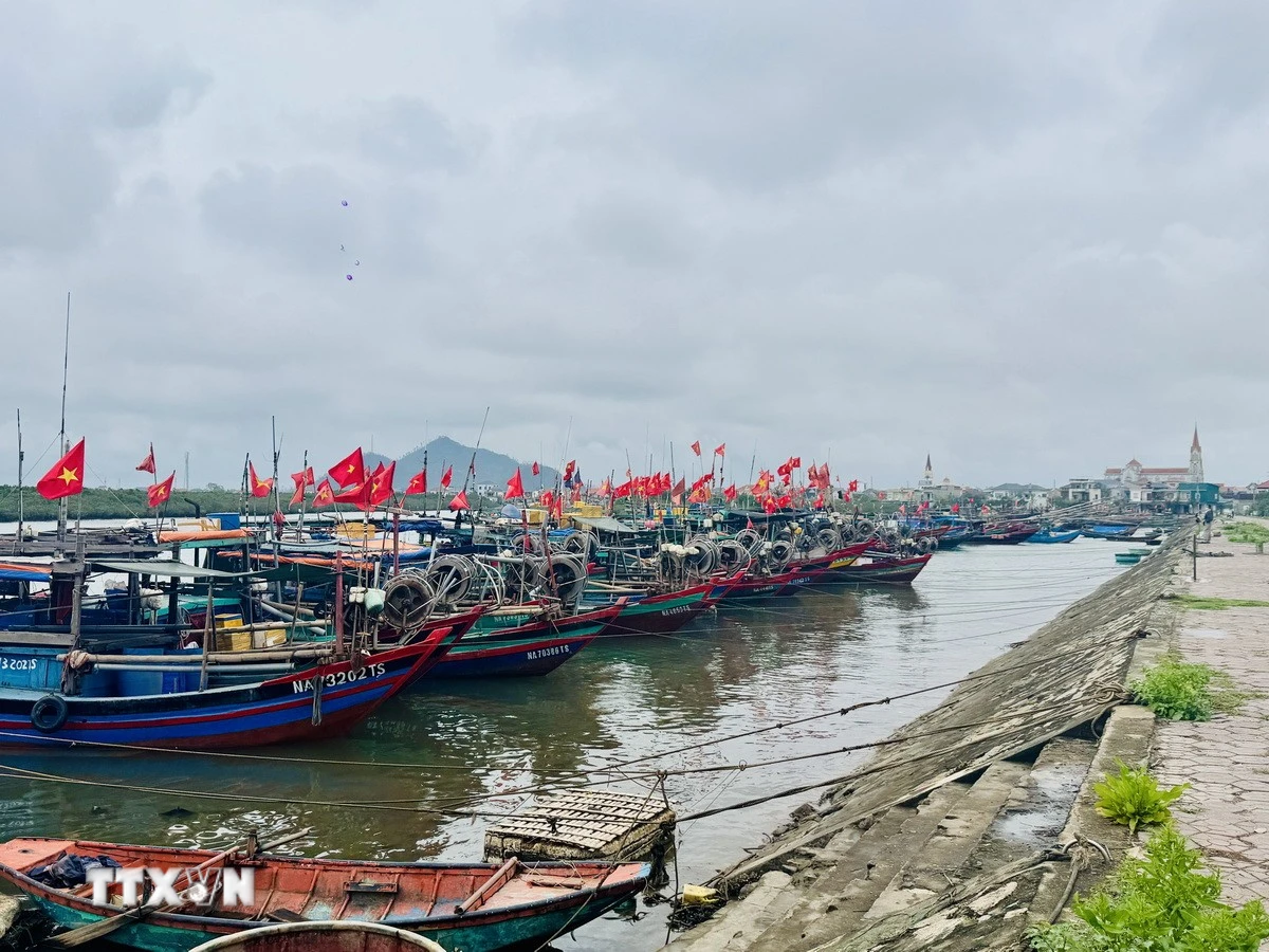 Ngư dân Gia Lai, Hưng Yên cập bến sớm để thực hiện quyền công dân trong ngày bầu cử