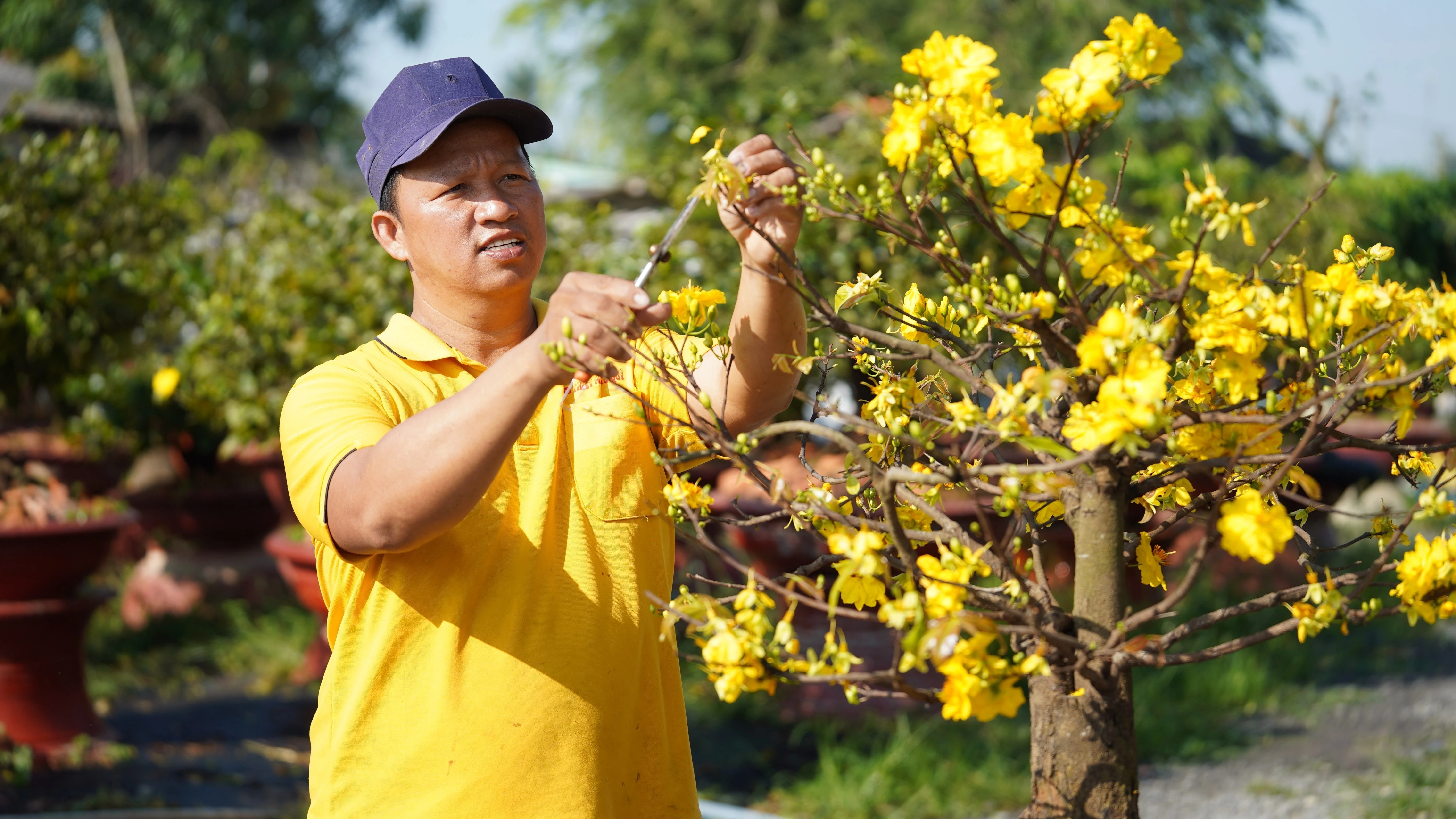 Thời tiết mùng 5 Tết: Miền Nam nắng nóng, nhiệt độ vượt 35 độ C