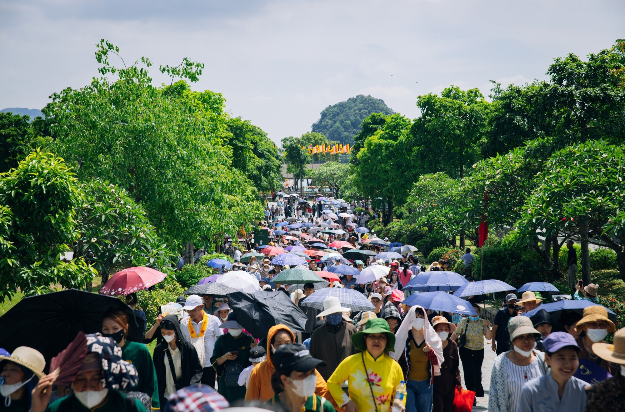 Turisté se hrnou, aby uctívali Buddhovy relikvie u pagody Tam Chuc. (Foto: Vuong Nam/Vietnam+) dong-nguoi-do-ve-chiem-bai-xa-loi-phat-2.jpg