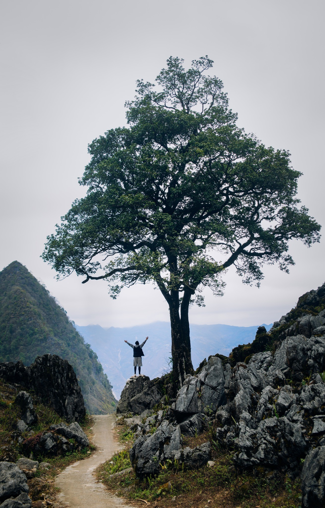 Running on the mountain passes of the rocky plateau in Ha Giang offers an emotional experience for visitors. (Illustration photo: Vuong Cong Nam/Vietnam+) 490821190-2467702353570892-4507129987366058247-n.jpg