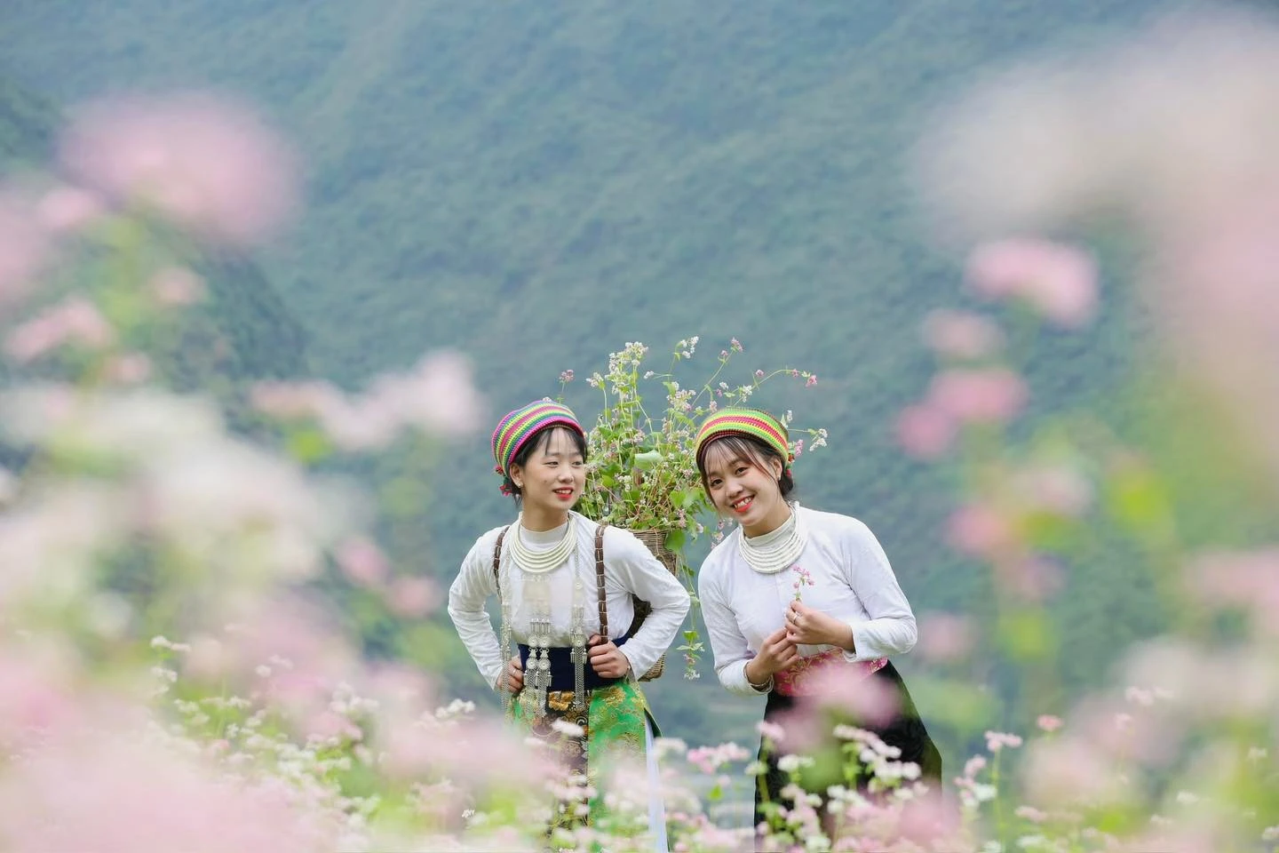 Hà Giang hấp dẫn du khách nhờ bản sắc văn hóa độc đáo cùng cảnh quan thiên nhiên đặc sắc. (Ảnh: CTV/Vietnam+)