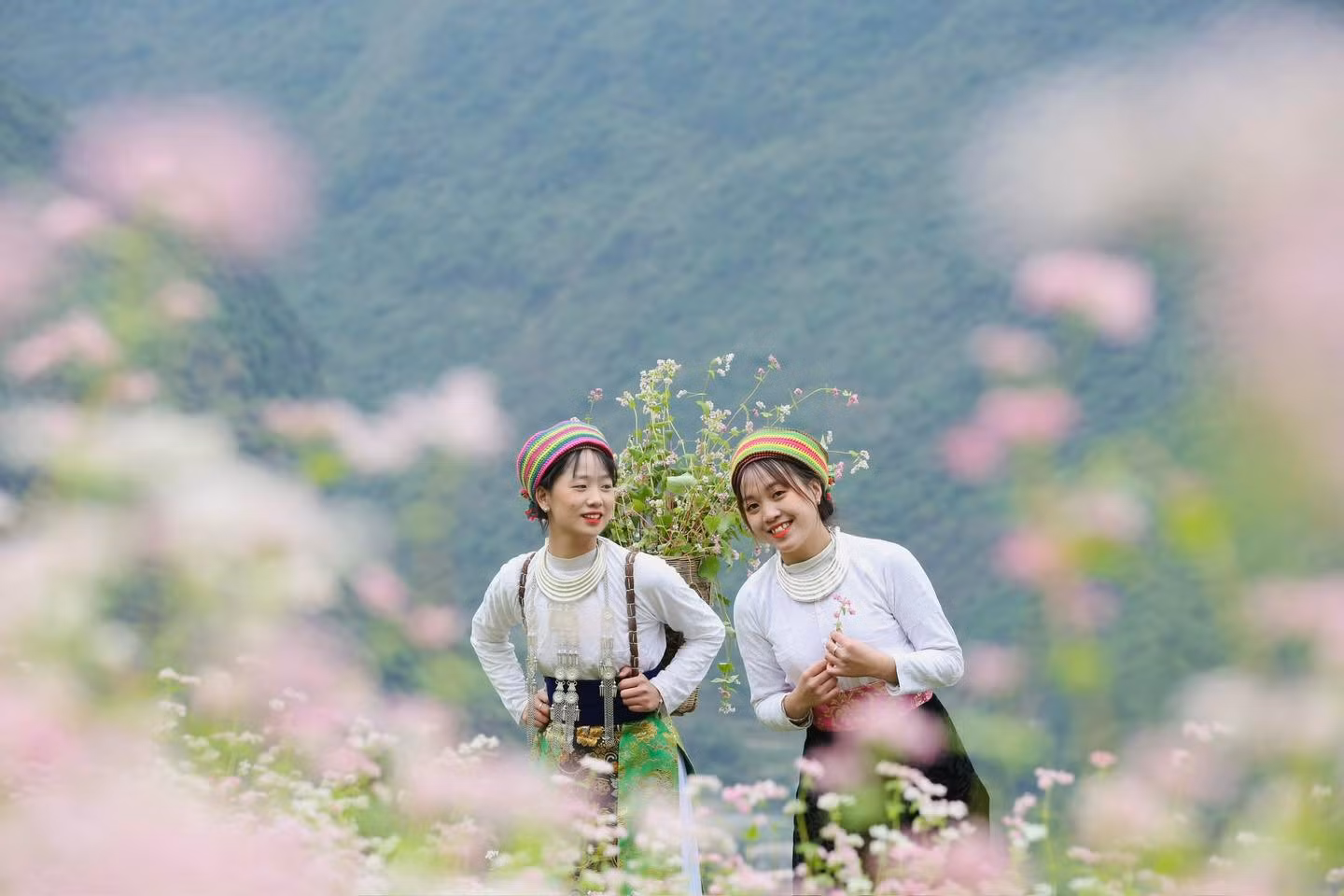 Hà Giang hấp dẫn du khách nhờ bản sắc văn hóa độc đáo cùng cảnh quan thiên nhiên đặc sắc. (Ảnh: CTV/Vietnam+)