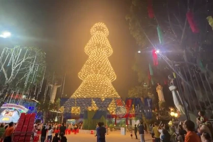 Chiêm ngưỡng cây thông làm từ 3.000 chiếc nón lá ở Đồng Nai 