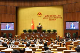 Quốc hội thảo luận ở hội trường về dự án Luật Dầu khí (sửa đổi). (Ảnh: Doãn Tấn/TTXVN)