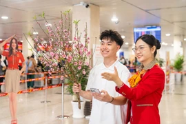 Vietjet Air nhận vận chuyển mai, đào dịp Tết Nguyên đán 2026. (Ảnh: PV/Vietnam+)