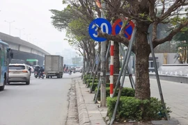 Cột biển báo giao thông được cắm giữa hàng cây và rất dễ bị che khuất tầm nhìn với người đi đường. (Ảnh: PV/Vietnam+) 