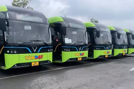 Từ đầu năm đến nay, Tổng công ty Vận tải Hà Nội đã đưa vào khai thác thêm 281 xe buýt điện mới trên nhiều tuyến. (Ảnh: PV/Vietnam+)