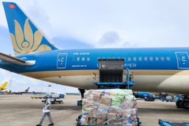 Vietnam Airlines vận chuyển miễn phí hàng hóa hỗ trợ vùng mưa lũ miền Trung. (Ảnh: PV/Vietnam+)