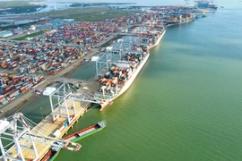 Bốc xếp hàng hóa container tại một cảng biển của Tổng công ty Hàng hải Việt Nam. (Ảnh: PV/Vietnam+)