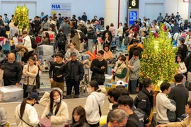 Hành khách làm thủ tục chuyến bay tại một cảng hàng không Việt Nam. (Ảnh: PV/Vietnam+)