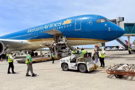 Vietnam Airlines đã thực hiện hai chuyến bay đặc biệt vận chuyển lực lượng và hàng hóa hỗ trợ tới Venezuela. (Ảnh: PV/Vietnam+)