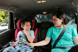 Giá một thiết bị ghế an toàn cho trẻ em đạt chuẩn dao động từ 1,5-2 triệu đồng. (Ảnh: PV/Vietnam+)