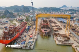 Ngành đóng tàu đang có nhiều đơn hàng từ các chủ tàu nước ngoài nhưng năng lực sản xuất hạn chế nên không thể nhận thêm. (Ảnh: Việt Hùng/Vietnam+)