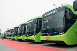 Buýt Liên Ninh đã chuyển đổi toàn bộ đội xe hiện hữu sang sử dụng xe buýt điện. (Ảnh: PV/Vietnam+)