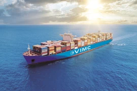 Đội tàu biển Việt Nam đã có nhiều tuyến vận tải sang các châu lục trên Thế giới. (Ảnh: PV/Vietnam+)