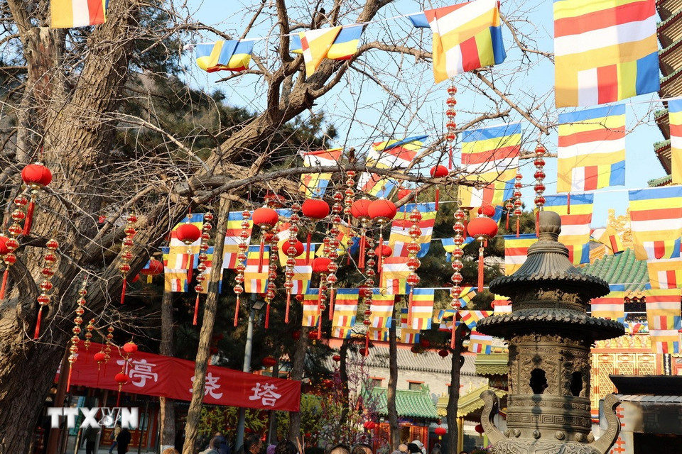 Quang cảnh trang hoàng của chùa Linh Quang Tự. (Ảnh: Quang Hưng/TTXVN).