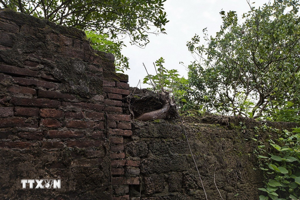 Một đoạn tường thành xây bằng đá ong và gạch bát còn sót lại tại cổng thành phía Tây. (Ảnh: Trọng Đạt/TTXVN)